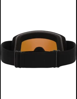 Gogle narciarskie Whistler WS5100